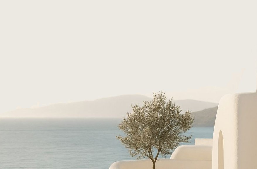 Greek organic olive oil product - Santorini Athens Greek island wedding planning service - Mediterranean fashion for U.S. customers