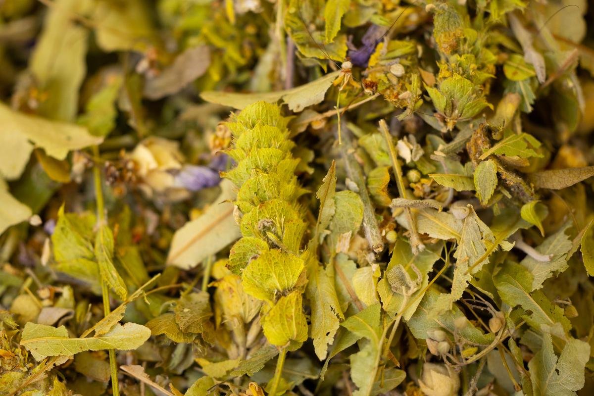 Close-up of dried Greek mountain tea leaves with wild herbs and flowers