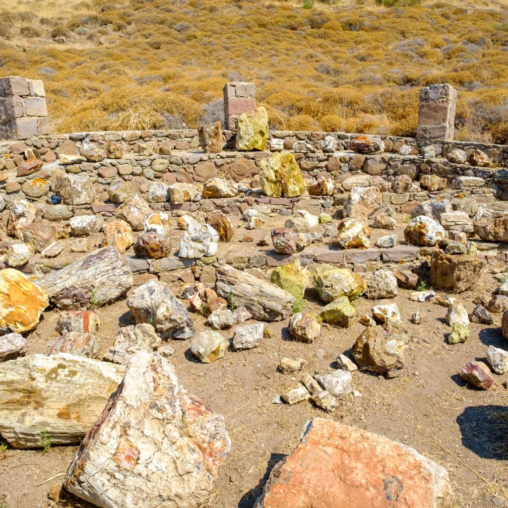 Group of petrified tree stumps in an open fossil site in Lesvos